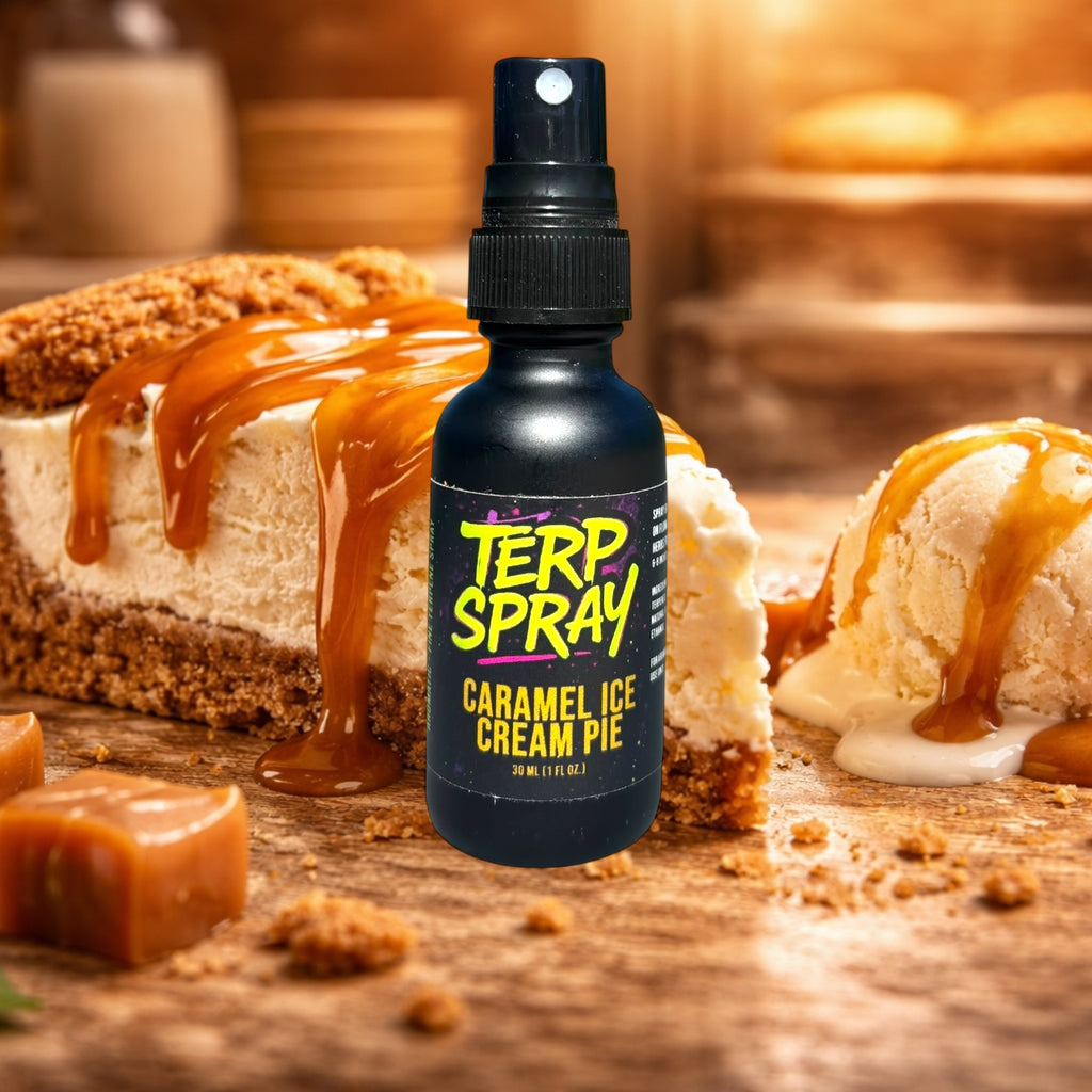 TS- Caramel Ice Cream Pie